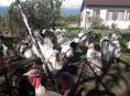 Продам индюков