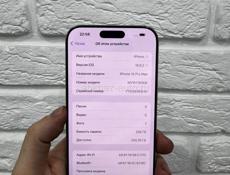 16 Pro Max 256Gb 🔋100%
