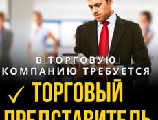 Торговый представитель. 