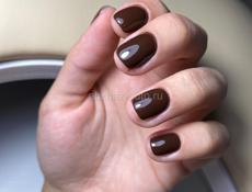 Принимаю на дом