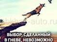 Требуется на работу на должность охранника, человек в возрасте, не молодой, не пьющий , чистоплотный, оплата 1000 рублей за смену ,с 18:00 до утра, Новый район, в автосервис, оплата еженедельно,!