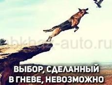 Требуется на работу на должность охранника, человек в возрасте, не молодой, не пьющий , чистоплотный, оплата 1000 рублей за смену ,с 18:00 до утра, Новый район, в автосервис, оплата еженедельно,!