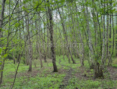 Продается участок