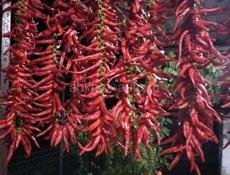 Продаю перец 🌶️ вязка