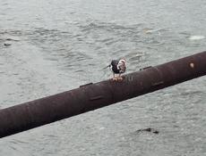 Снос ветхих строений