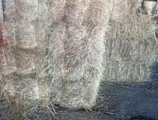 Продам 20-25 тюков, разнотравье,на выбор по 350 р