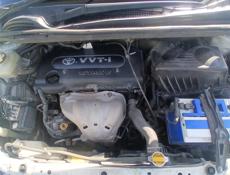 Toyota Ipsum