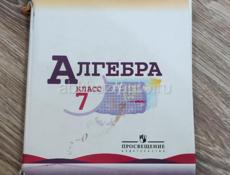 Алгебра 7 класс 