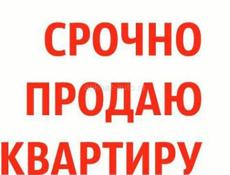 Квартира цитрусовый совхоз 