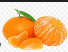 Ищем работу 🍊 на сбор мандарин