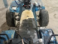 ATV IRBIS