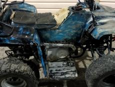 ATV IRBIS