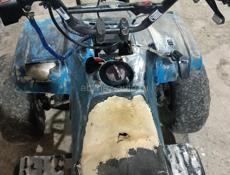 ATV IRBIS