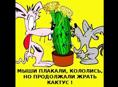 цв