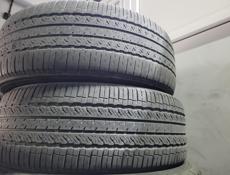 225 55 R19