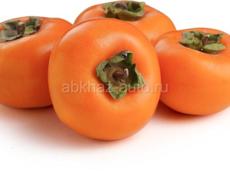 Куплю саженцы