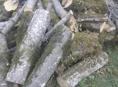 Продаю дрову Ахьаца -Граб 1 гозель 20 т 