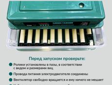 инкубатор 
