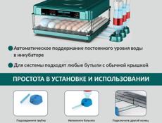 инкубатор 
