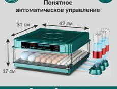 инкубатор 