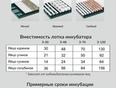 инкубатор 