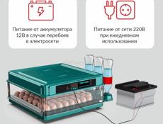 инкубатор 