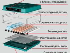 инкубатор 