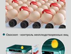 инкубатор 