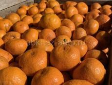 Мандарины 9935739