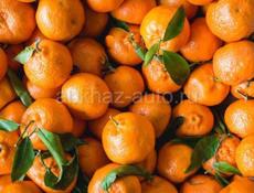 На мандарины