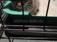 Спасите жизнь котенку