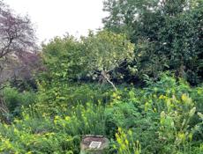дом с участком 15 соток Патейпа (Чанба)
