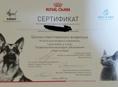 Ищу работу в зоосфере
