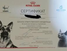 Ищу работу в зоосфере
