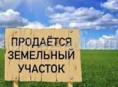 Агудзера срочно продаётся участок рядом с хинкальной не далеко от трассы центральной 