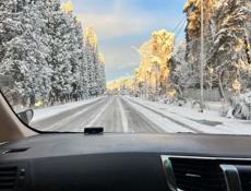 Сдаётся Дом весь первый этаж 