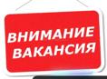 Нужен выгул собаки Корги 