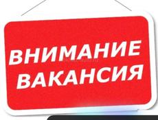 Нужен выгул собаки Корги 