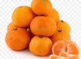 🍊🍊🍊