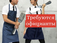 Официанты ☕️🫖🍽️🍴🍷 посменно! Без вредных привычек!