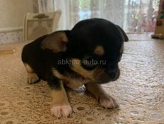 Продаю