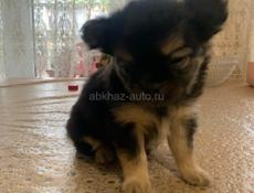 Продаю