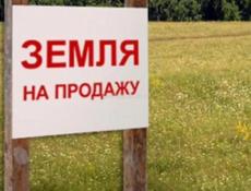Алахадзе