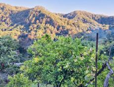 Продам земельный участок ,10 сот .с фундаментом ,с.Дзыгута 