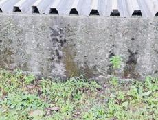 Продам земельный участок ,10 сот .с фундаментом ,с.Дзыгута