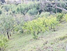 Продам земельный участок ,10 сот .с фундаментом ,с.Дзыгута