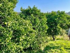 ДОМ С ВИДОМ НА ГОРЫ И МОРЕ В АГУДЗЕРЕ ЗА 3 млн.₽