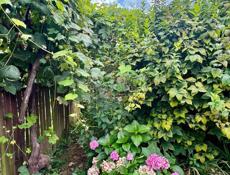 БЕЛЬЭТАЖНЫЙ ДОМ  В СУХУМЕ, Р-ОН ВОКЗАЛА ЗА 3,2 млн.₽