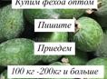 Куплю фейхоа оптом 