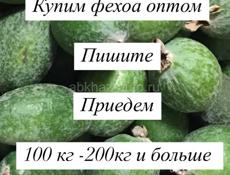 Куплю фейхоа оптом 
